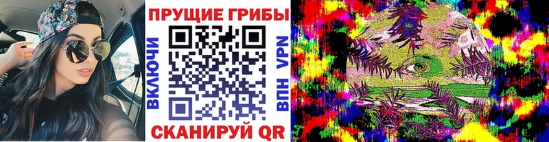Галлюциногенные грибы Cubensis Вытегра
